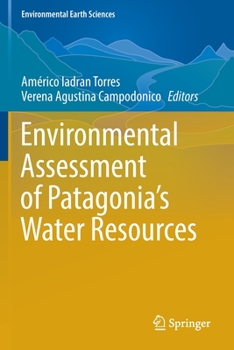 Paperback Environmental Assessment of Patagonia's Water Resources Book