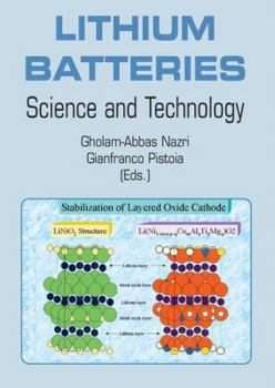 Paperback Lithium Batteries: Science and Technology Book
