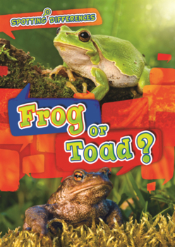 Frog or Toad?