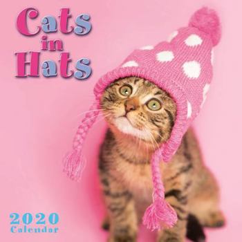 Office Product 2020 Cats in Hats Mini Calendar: By Sellers Publishing Book