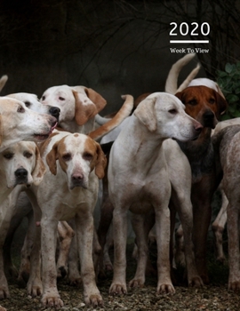 2020 A4 Diary Week To View Planner For All Occasions: | Year Planner For Business, Office, Home, University, College, School, Appointments, Organizer.