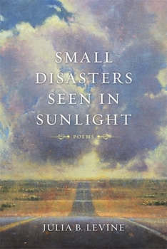 Small Disasters Seen in Sunlight: Poems - Book  of the Barataria Poetry Series