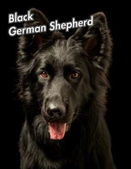Black German Shepherd: Composition Book 150 pages 8.5 x 11 in. | College Ruled | Writing Notebook | Lined Paper | Soft Cover | Plain Journal