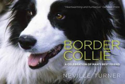 Hardcover Border Collie Book