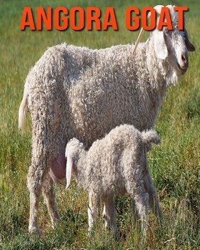 Angora Goat: Childrens Book Amazing Facts & Pictures about Angora Goat