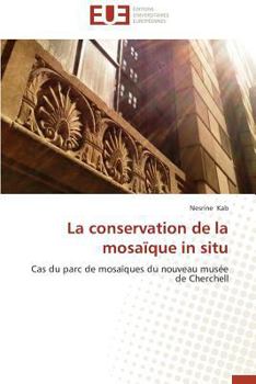 Paperback La Conservation de la Mosaïque in Situ [French] Book