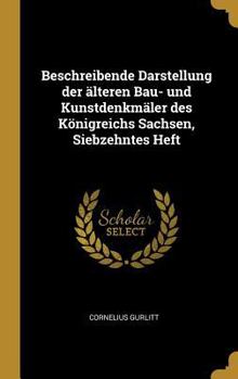 Hardcover Beschreibende Darstellung der älteren Bau- und Kunstdenkmäler des Königreichs Sachsen, Siebzehntes Heft [German] Book