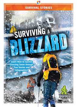 Hardcover Surviving a Blizzard Book