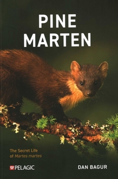 Pine Marten: The Secret Life of Martes Martes
