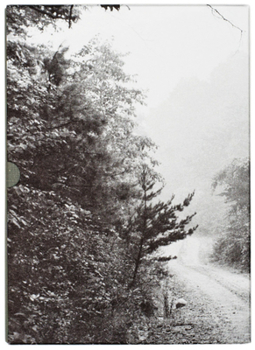 Hardcover John Cage and William Gedney: Iris Garden Book