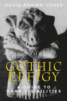 Hardcover Gothic Effigy: A Guide to Dark Visibilities Book