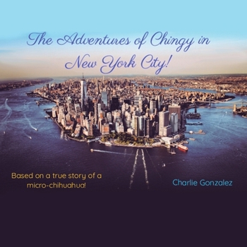Paperback The Adventures of Chingy in New York City! Book