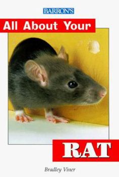 Paperback All about Your Rat Book