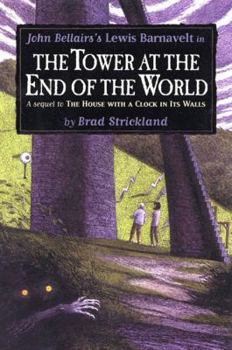 Hardcover The Tower at the End of the World Book