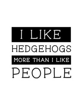 I Like Hedgehogs More Than I Like People: Hedgehog Gift for People Who Love Hedgehogs - Funny Saying on Cover for Hedgehog Lovers - Blank Lined Journal or Notebook