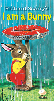 Board book I Am a Bunny Book