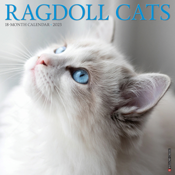 Calendar Ragdoll Cats 2023 Wall Calendar Book