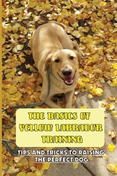 Paperback The Basics Of Yellow Labrador Training: Tips And Tricks To Raising The Perfect Dog: How To Understand Yellow Labrador Language Book