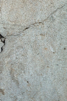 Happy Birthday Book: Happy Birthday Gifts Lined Journal Notebook  (74)  | Journal For Women, Friend Coworker  Birthday Gifts | Funny Gag Gift | Funny ... | 21 Birthday Gag Gifts For Best Friend)