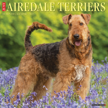 Calendar Just Airedale Terriers 2023 Wall Calendar Book