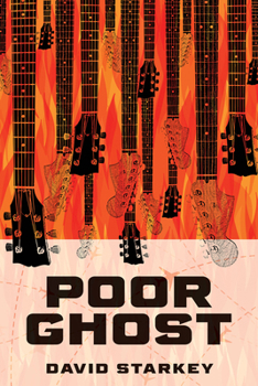 Hardcover Poor Ghost Book