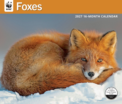 Carousel Worldwide WWF Foxes 2027 Large Wall Calendar – 16-Month Calendar, Charming Fox Photography, Monthly Wall Calendar, 14? × 12?, Gift