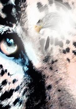 Paperback Cuauht Moc: Descendant of the Jaguar Book