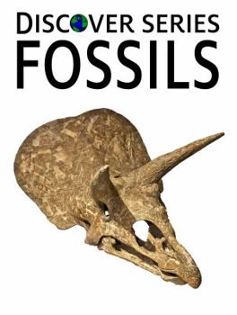 Paperback Fossils Book