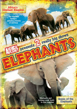 DVD Elephants Book