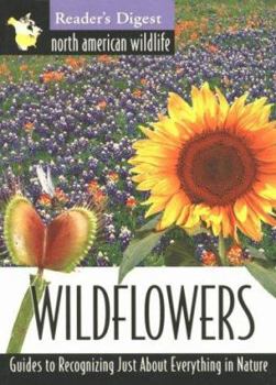 Paperback North American Wildlife: Wildflowers Field Guide Book