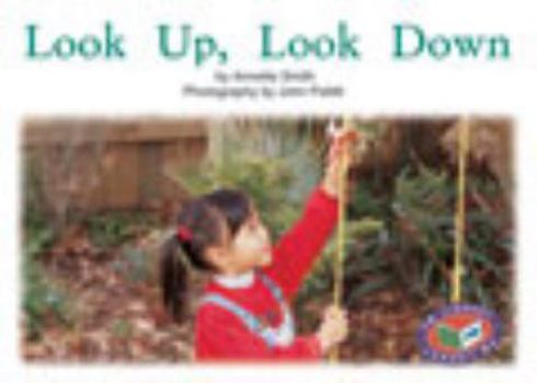 Paperback Look Up, Look Down PM Non Fiction Level 5/6 Maths Around Us Red Book