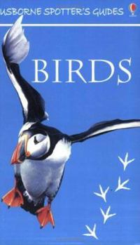 Paperback Birds Spotter's Guide (Usborne Spotter's Guides) Book