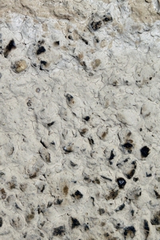 Happy Birthday Book: Happy Birthday Gifts Lined Journal Notebook  (20)  | Journal For Women, Friend Coworker  Birthday Gifts | Funny Gag Gift | Funny ... | 21 Birthday Gag Gifts For Best Friend)