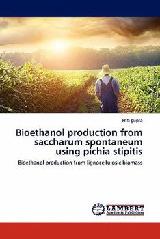 Paperback Bioethanol Production from Saccharum Spontaneum Using Pichia Stipitis Book