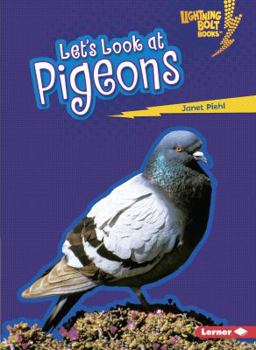 Let's Look at Pigeons - Book  of the Lightning Bolt Books™ ~ Animal Close-Ups