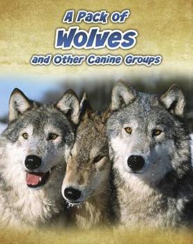 A Pack of Wolves: And Other Canine Groups - Book  of the Animals in Groups