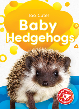 Library Binding Baby Hedgehogs Book