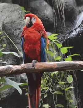 Paperback Birds Notebook large Size 8.5 x 11 Ruled 150 Pages Book