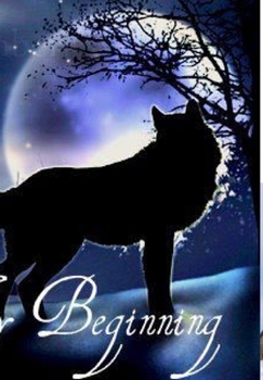 Hardcover Icy Beginning Book