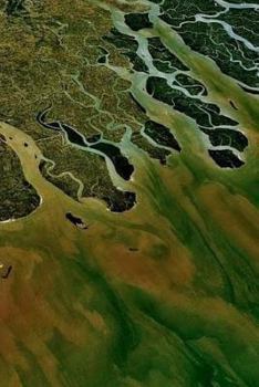 Paperback The Ganges Notebook Book