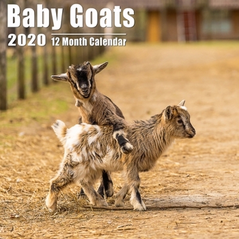Baby Goats Small Calendar 2020: Cute Goat Babies Photos Mini Calendar With Inspiritional Quotes each Month | Small Size 8.5x8.5 inches