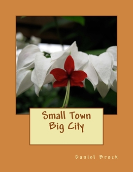 Paperback Small Town Big City Book