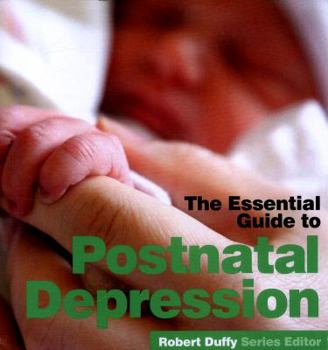 Paperback Post Natal Depression: The Essential Guide Book