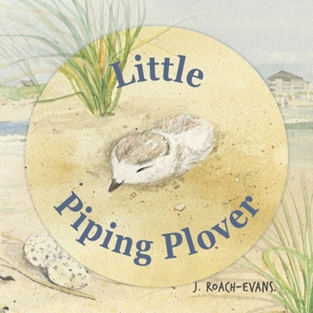 Paperback Little Piping Plover Book