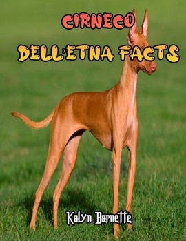CIRNECO DELL’ETNA FACTS: CIRNECO DELL’ETNA fact for girl age 1-10 CIRNECO DELL’ETNA fact for boy age 1-10 facts about all about CIRNECO DELL’ETNA
