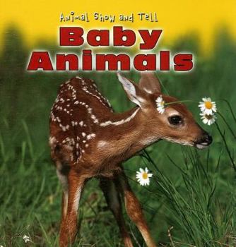 Library Binding Baby Animals Book