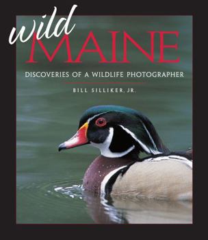 Hardcover Wild Maine: Discoveries of a Wildlife Photographer Book