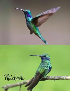 Paperback Notebook: Hummingbird Notebook 100 Pages Blank Lined Paper Book