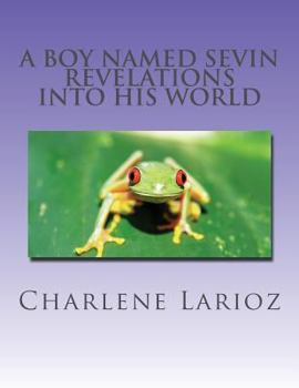 Paperback A Boy Named Sevin - Revelations Into His World Book