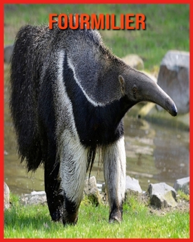 Paperback Fourmilier: Images Etonnantes & Informations Amusantes Concernant les Animaux dans la Nature [French] Book